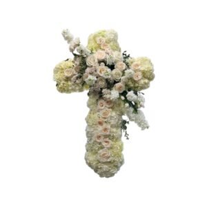 Fency Product Designer